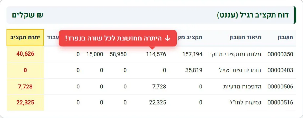 Regular budget report: each line (scholarships, materials, printing, travel abroad) with its own budget balance in the leftmost column