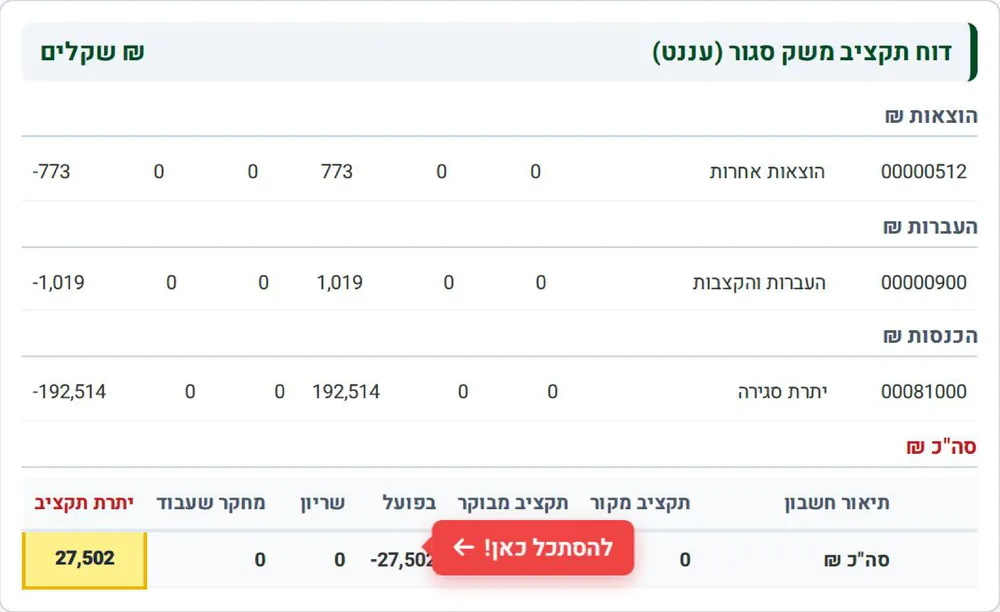 Closed-economy budget report: the available balance appears only on the total line at the bottom, in the Budget balance column