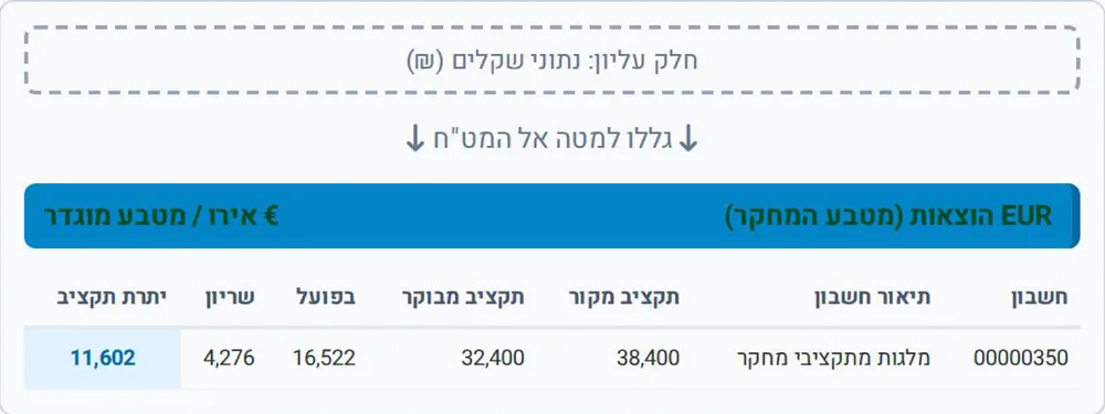 Expenses table in the grant currency (euro) at the bottom of the report, below the shekel tables