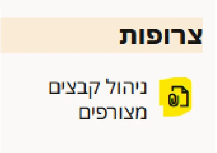 האפשרות ניהול קבצים מצורפים תחת צרופות